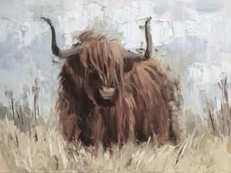 Scottish Highland Bull B | Obraz na stenu