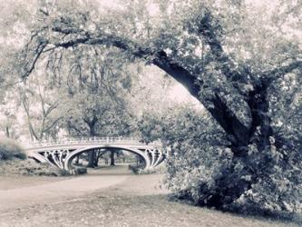 Central Park Gothic | Obraz na stenu