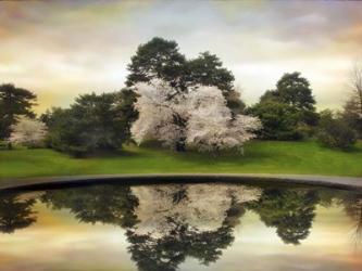 Fountain Reflections | Obraz na stenu