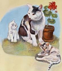 Mother Cat And Kittens | Obraz na stenu