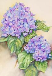 Hydrangea Stem | Obraz na stenu