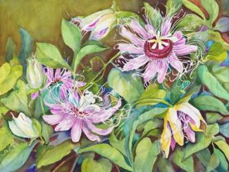 Passion Flower | Obraz na stenu