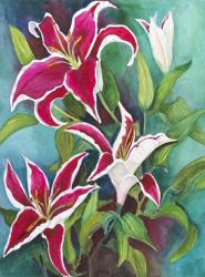 Red and White Lilies | Obraz na stenu