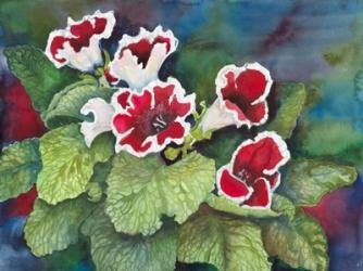 Red and White Gloxinia | Obraz na stenu