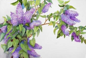 Lavender Lilacs | Obraz na stenu