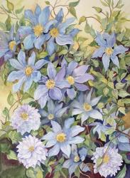 Blue Clematis | Obraz na stenu