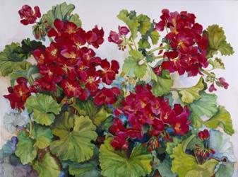 Deep Red Geraniums | Obraz na stenu