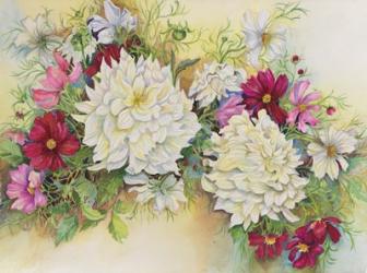 White Dahlias And Cosmos | Obraz na stenu