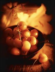 Bowl Of Cherrys | Obraz na stenu