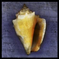 Fighting Conch | Obraz na stenu