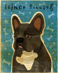 French French Bulldog - Black Brindle and White | Obraz na stenu