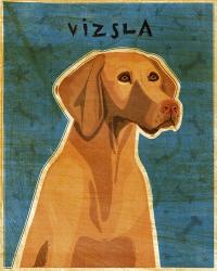 Vizsla | Obraz na stenu