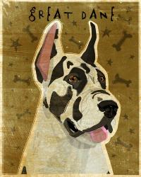 Harlequin Great Dane 1 | Obraz na stenu