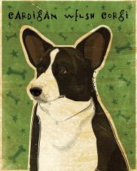 Cardigan Welsh Corgi | Obraz na stenu