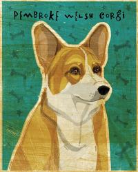 Pembroke Welsh Corgi | Obraz na stenu