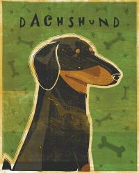 Dachshund (black and tan) | Obraz na stenu