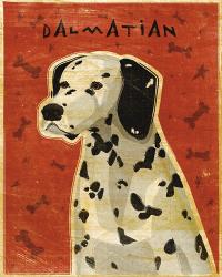 Dalmation | Obraz na stenu