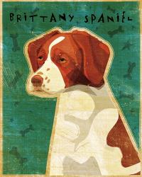 Brittany Spaniel | Obraz na stenu