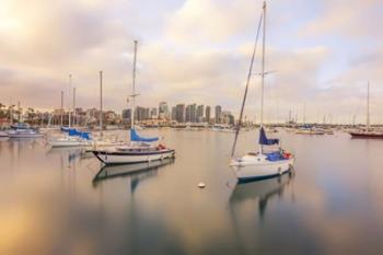 Calm In Reflection San Diego | Obraz na stenu