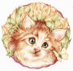 Tulip Kitten | Obraz na stenu