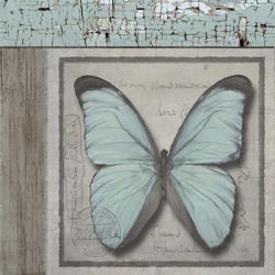 Butterfly Blue | Obraz na stenu