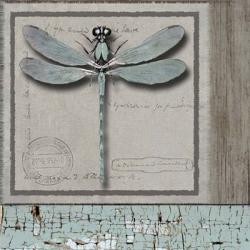 Dragonfly Blue | Obraz na stenu