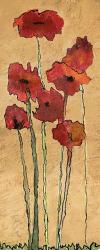 Poppies | Obraz na stenu