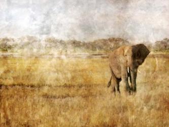 Golden Savanna Elephant | Obraz na stenu