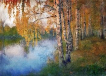 Fall River Birch Landscape | Obraz na stenu