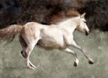 Light Cream Horse In Motion | Obraz na stenu