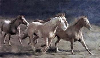 Rustic Running Horse Herd | Obraz na stenu