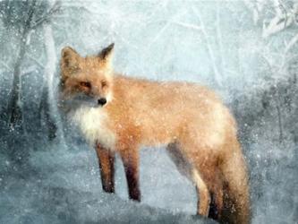 Winter Fox in Falling Snow | Obraz na stenu