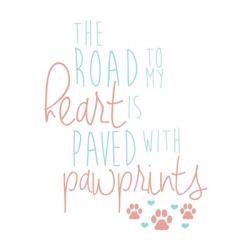 Paved With Pawprints | Obraz na stenu