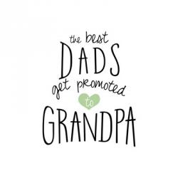 Promoted To Grandpa | Obraz na stenu