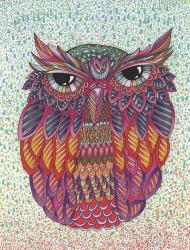 Amazing Owl | Obraz na stenu