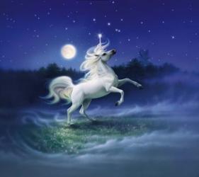 Moonlight Unicorn | Obraz na stenu