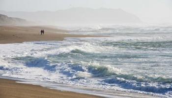 A Walk On The Beach | Obraz na stenu