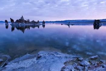 Mono Lake Dawn | Obraz na stenu