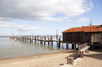 China Camp Pier | Obraz na stenu