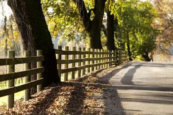 Roadside Fence | Obraz na stenu