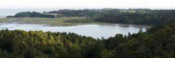 Bolinas in Spring | Obraz na stenu