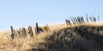 Pickets and Barbed Wire | Obraz na stenu