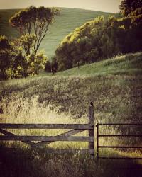 Resting on a Fencepost | Obraz na stenu