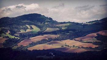 Sonoma Hillside Shadows | Obraz na stenu