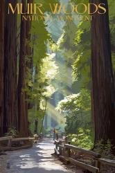 Muir Woods National Monument | Obraz na stenu