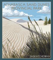 Athabasca Sand Dunes | Obraz na stenu