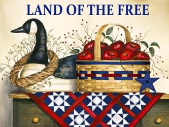 Land of the Free | Obraz na stenu