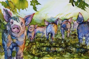 Pig Tales | Obraz na stenu