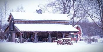 Cozy and Warm Blanket of Snow | Obraz na stenu