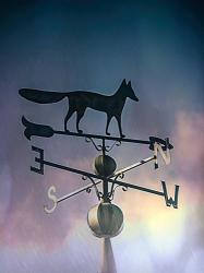 Rain On The Old Fox Weather Vane | Obraz na stenu